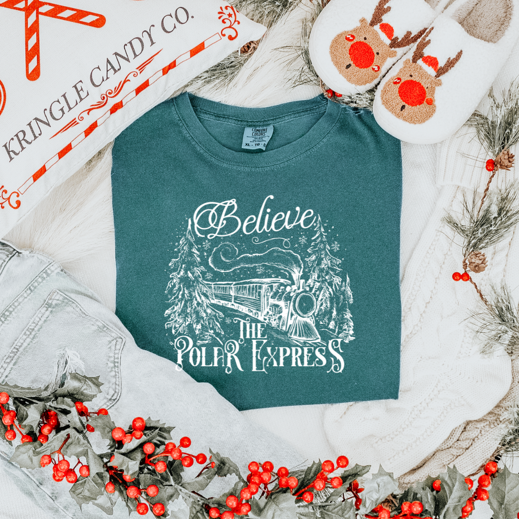 POLAR EXPRESS TEE